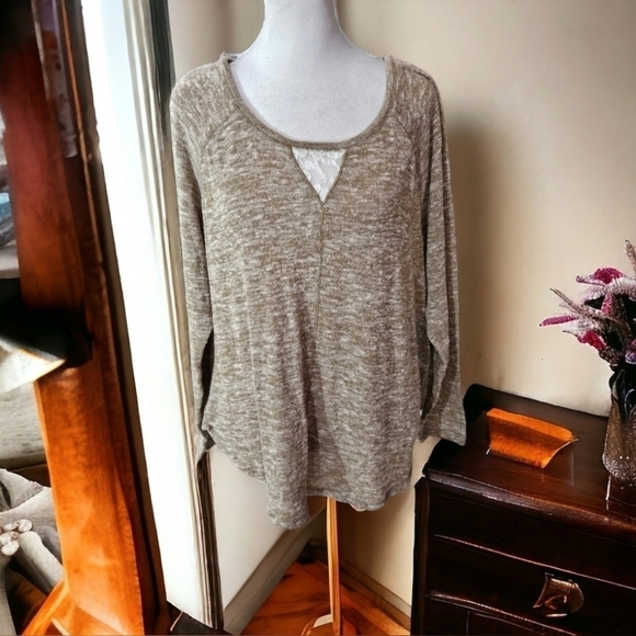 Lane Bryant Tops - Lane Bryant Tan & Cream Lace long sleeve Top Size 14/16 NWOT